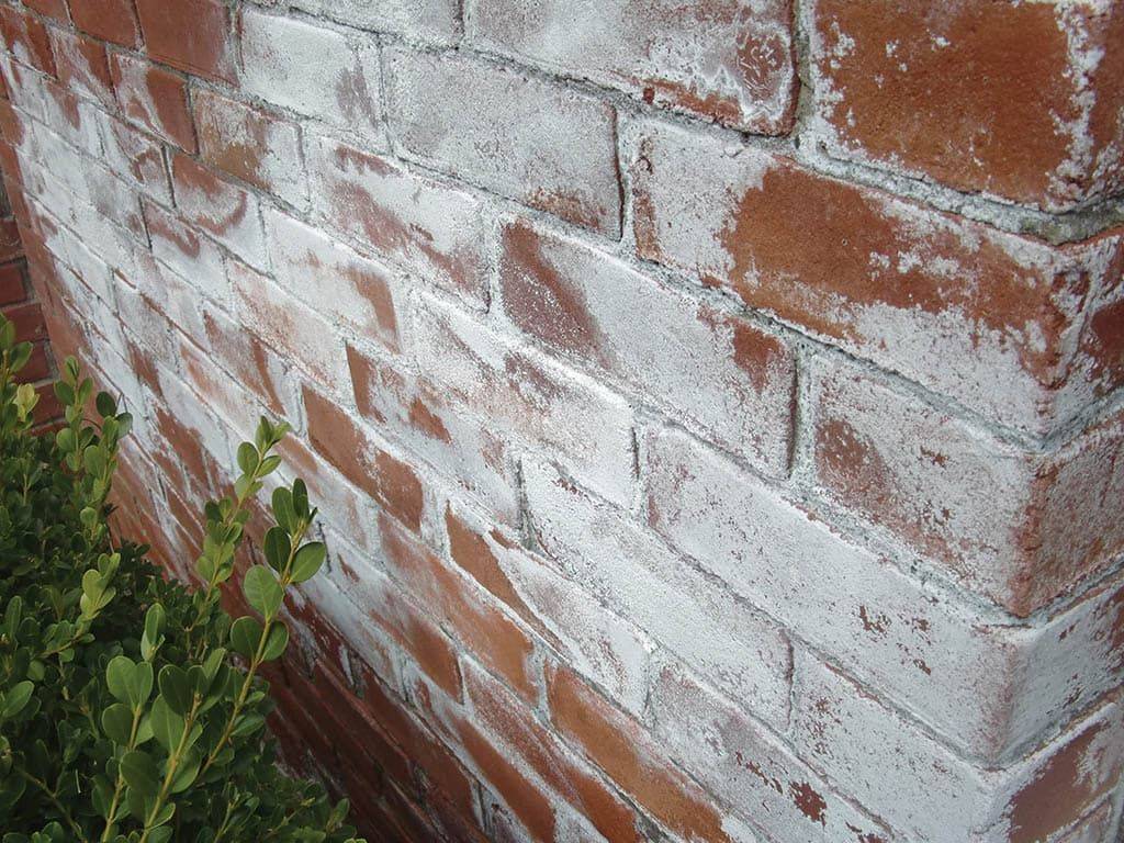 Высолы на кирпиче: как быстро убрать выделения со стен