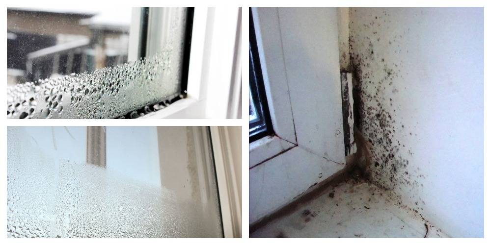 Потеют окна в доме причины запотевания в квартире и деревянном доме, как избавиться, способы устранения течи