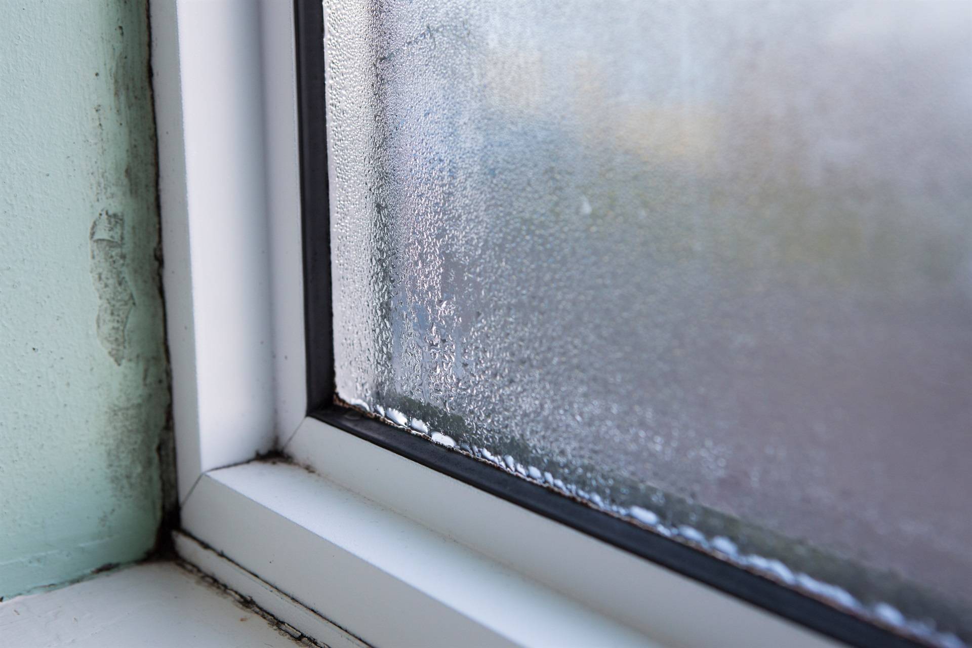 Почему потеют пластиковые окна изнутри в квартире, что делать, если в доме потеют окна, как избавиться