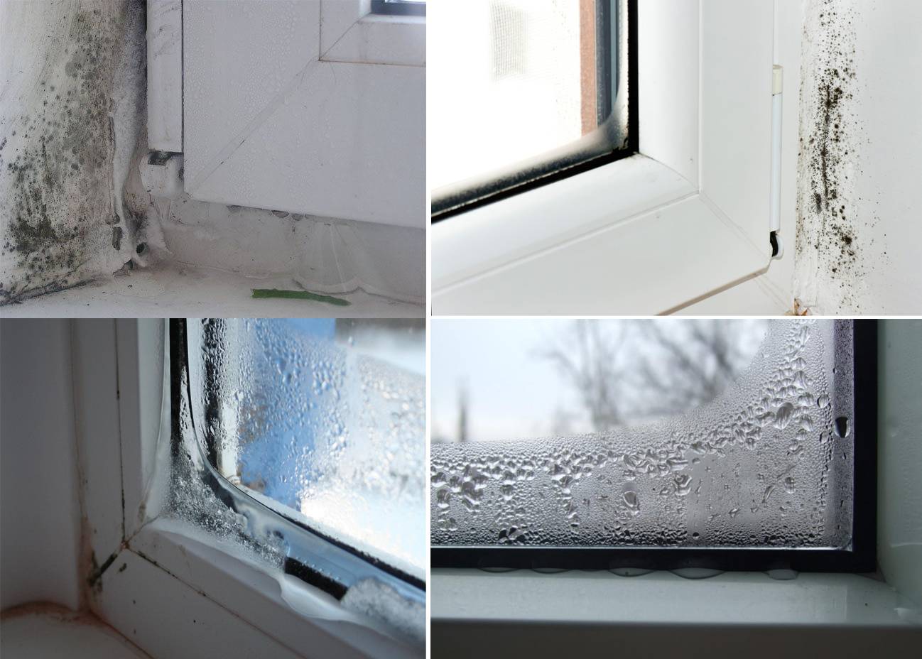 Что делать если потеют пластиковые окна в доме или квартире? причины появления конденсата. способы решения данной проблемы (фото & видео) +отзывы